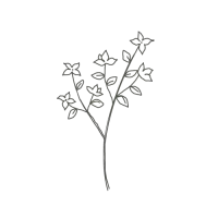Picto de fleurs