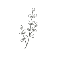 picto de fleurs
