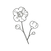 picto de fleurs