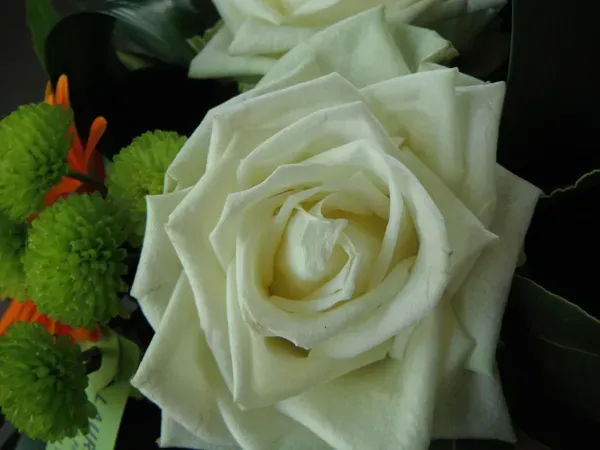 Fleurs et bouquets sur-mesure (9)