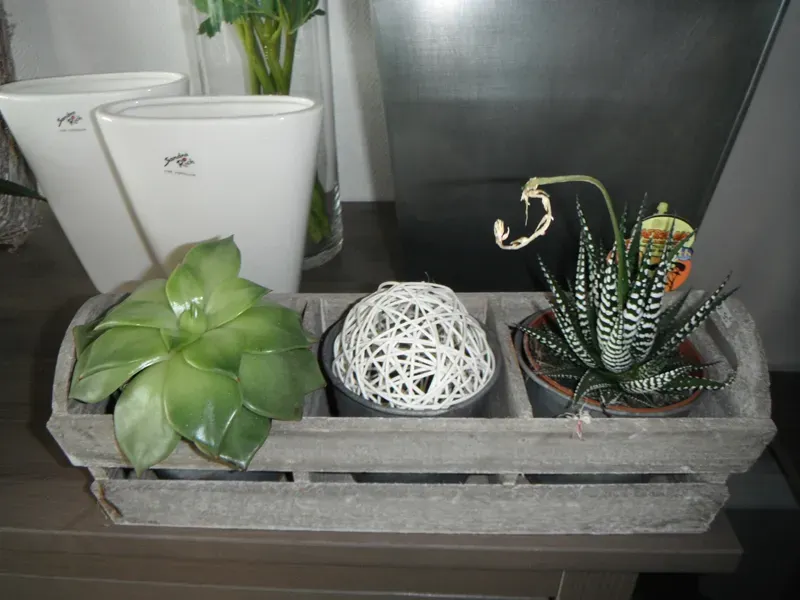 Décoration florales et pots (8)webp