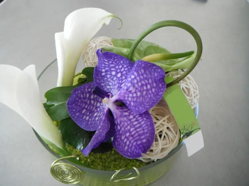 Décoration florales et pots (10)webp