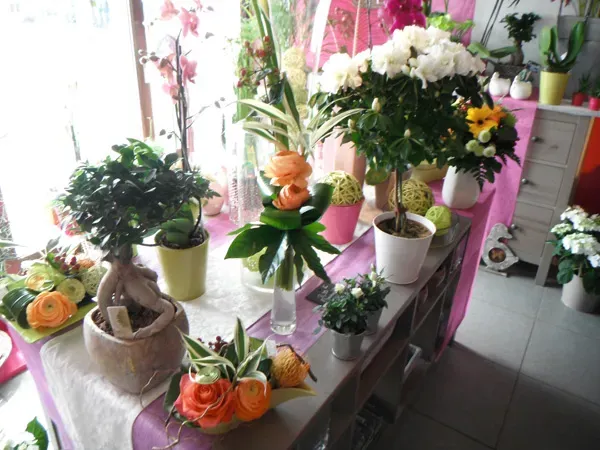 Plantes intérieures (2)webp