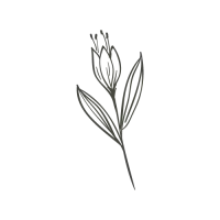 picto de fleurs
