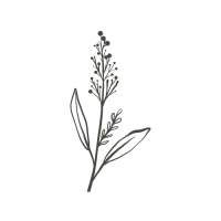 picto de fleurs
